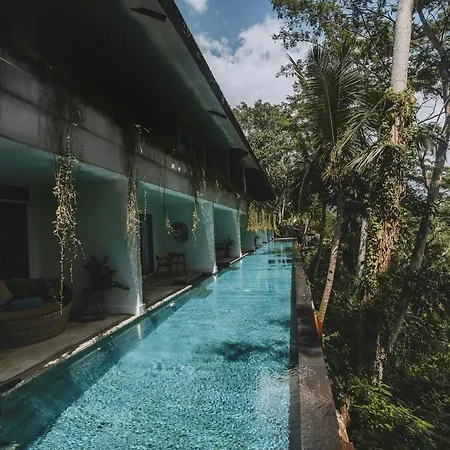 The Hidden Paradise Ubud - Chse Certified