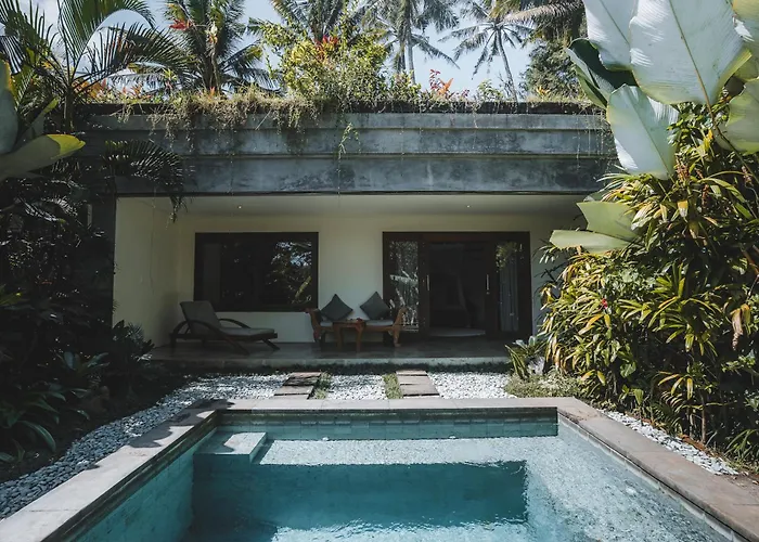 The Hidden Paradise - Chse Certified