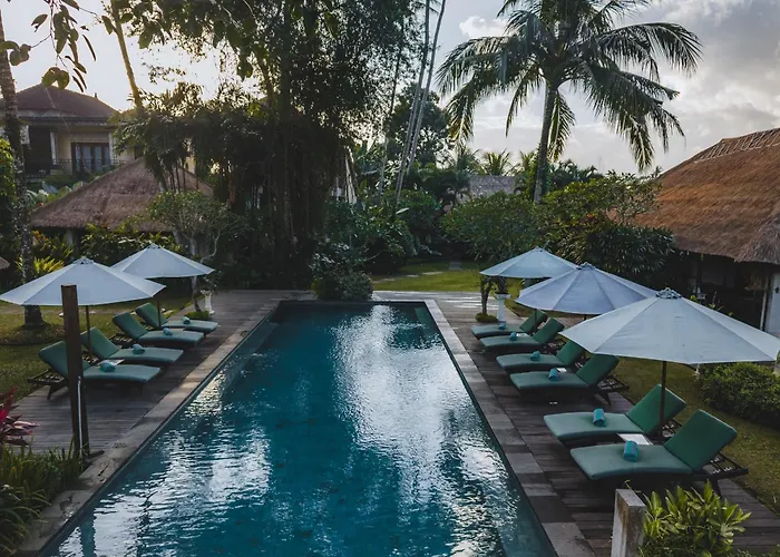 Hotel The Hidden Paradise - Chse Certified