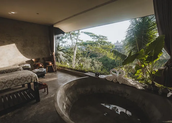 Hotel The Hidden Paradise - Chse Certified