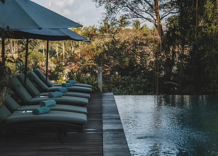 The Hidden Paradise - Chse Certified