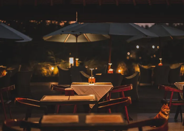 Hotel The Hidden Paradise - Chse Certified 4*