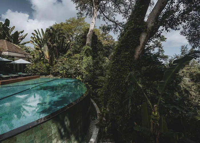 The Hidden Paradise - Chse Certified
