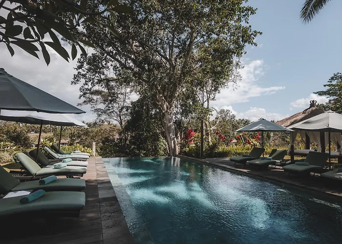 The Hidden Paradise - Chse Certified Hotel